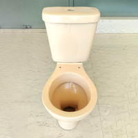 Moderne Beige Irani Wc Keramische Wc-Wc-Wc-Bril Met Watertank Zacht Gesloten Stoelhoes Voor Badkamer Tweedelig Wc-Toilet