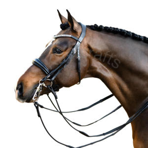 Amie Bride en cuir roulé pour chevaux Muserolle en gel verni & Délicat bandeau à sourcils en cristal - Product Image 1