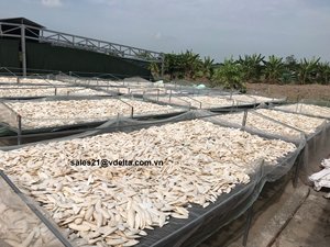 กระดิ่งแขวนรูปกระดูกปลาหมึกอาหารเสริมแคลเซียมของเล่นสำหรับนกแก้วกัด // Ms. Lima - Product Image 5