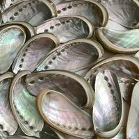 Meilleur prix sur Artisanat naturel vietnamien Coquille d'ormeau polie Coquillage exquis du Vietnam