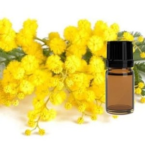 Meilleure qualité 100% Pure Mimosa Absolute Oil Aromathérapie la mieux notée Fournisseur fiable à base de rose Huile de rose en gros - Product Image 2