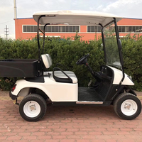 Voiturette de golf électrique mini 2 places à succès