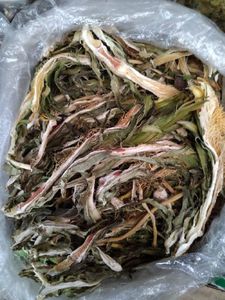 ดอกไม้ผลไม้มังกรตากแห้ง/แปรรูปตามธรรมชาติ/พร้อมใช้สำหรับร้านอาหารและร้านน้ำชา - Product Image 6