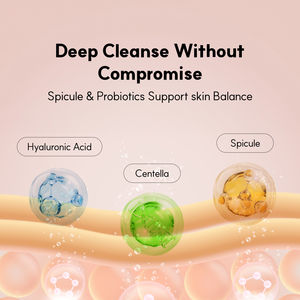 K-Beauty Skincare Neul20s Spicule Centella Herbal Cica Foam Cleanser 100ml All Skin Types Acne Removal Moisturizing Salicylic - Product Image 3