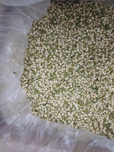 Té de jazmín 100% Sabor Natural Suave de Vietnam - Product Image 6