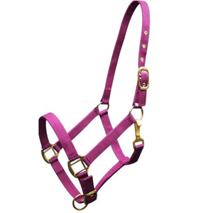 เชือกแขวนคอม้าไนล่อนปรับได้แข็งแรงทนทานและสวมใส่สบายสายคล้องคอฝึกม้าแบบพรีเมี่ยมสินค้าสำหรับนักขี่ม้าจำนวนมาก - Product Image 1