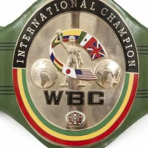 Cinturones de campeonato de boxeo Trofeos Medallas y premios el símbolo definitivo de la victoria y la excelencia Cinturones de Campeonato - Product Image 1