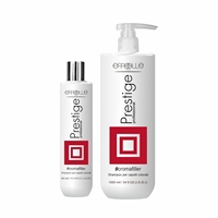 Champú Profesional ERREELLE Prestige 300ml y 1000ml, Fórmula 2 en 1 para Protección del Color, para Cabello Teñido y Todo Tipo de Cabello