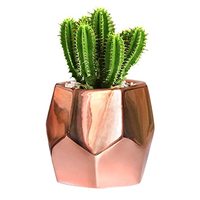Pot de fleurs en cuivre créatif avec cadre en métal Pots de plantes simples à utiliser à la main