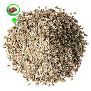 Dill | Fresh Harvest <b>Herb</b> for Seasoning Manufacturers - Product Image 6