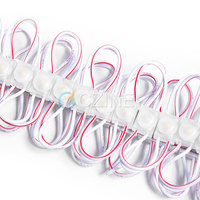 20 pièces/chaîne 160 °   Module LED miniature IP65 1010 taille 12V SMD 2835 0,5W pour la publicité