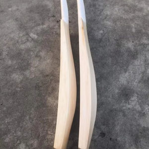 ขนาดปกติไม้คริกเก็ตปากีสถานไม้คริกเก็ตสุดพิเศษสำหรับผู้ใหญ่เต็มรูปแบบพร้อมฝาครอบป้องกันเต็มรูปแบบพลังพิเศษปืนใหญ่ - Product Image 1