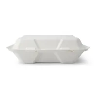 Boîtes à emporter rectangulaires en canne à sucre à couvercle articulé, grille simple, 22,9x15,5x7,7 cm - 500 pièces/carton