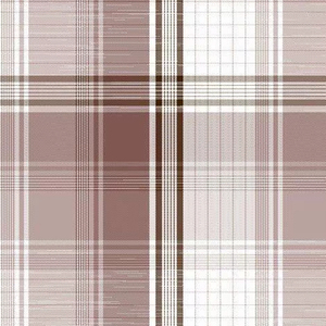 Tela de algodón de cuadros clásicos Oxford, textil de calidad de exportación para prendas de vestir - Product Image 1