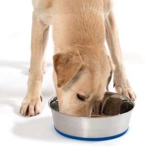 Plato para mascotas de acero inoxidable al por mayor, cuenco para cachorros nuevo redondeado portátil, comedero de Metal para gatos, cuenco de gran cantidad de agua para gatos - Product Image 6