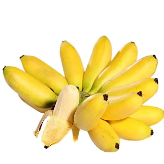 Wholesale cavendish banana green banana fresh cavendish banana natural color sweet taste wholesale tropical fruit