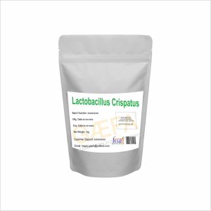 Polvo de Lactobacillus Crispatus, Lugar de Origen: India - Product Image 3