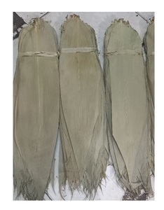 Hoja de bambú seca a precio muy competitivo/Venta caliente 2023 Nuevo producto Bambú seco natural - Product Image 1