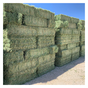 Heno de alfalfa y Lucerna para alimentación animal, ganado, caballo, grado de alta calidad, embalaje a granel, origen estadounidense - Product Image 6