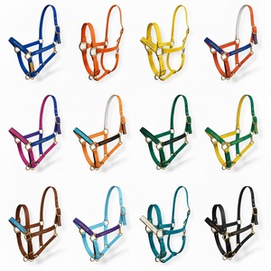 Cabestro de Cuero para Silla Inglesa, Ajustable, Color y Tamaño Personalizables, para Todas las Estaciones - Product Image 4