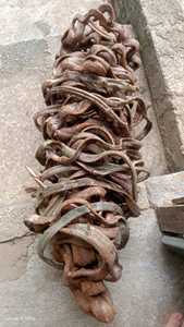 Corde de forêt artificielle vignes grimpantes vignes décoratives torsadées enlacées chêne vente en gros import exportation vente sur vignes - Product Image 2