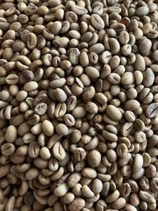 เมล็ดกาแฟอาราบิก้าสีเขียวคั่วอ่อนผ่านกระบวนการเคนยา - Product Image 3