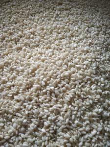 ผู้ส่งออกงาขาวปอกเปลือกจากอินเดีย สำหรับเกรดอาหาร ใช้ในงานครัวและเพื่อสุขภาพ มีจำหน่าย - Product Image 4