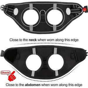 Colliers et ceintures pour chiens et chats personnalisés de haute qualité OEM - Product Image 2