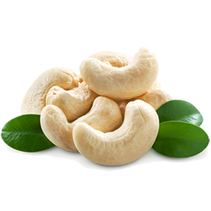 2024 New Crop Vietnam Organic Cashew Nut Raw High Quality Grade 20kg Vacuum <b>Bags</b> Best Price Top Supplier BRC Food Hanfimex Group - Product Image 4