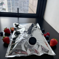 Sac en aluminium recyclable personnalisé avec robinet de distribution, 1L 2L 3L 5L 10L, pochette BIB pour café, vin, jus, boissons