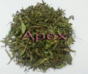 Hojas de Stevia Apex International, Hojas de Stevia Secas, Fabricante de Rajasthan, India - 24 Meses de Duración, Almacenar en un Lugar Seco - Product Image 1