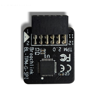 Module TPM GIGABYTE, interface SPI 12 broches, module de plateforme sécurisée TPM 2.0, puce GIGA, carte mère TPM 2.0, module pour PC
