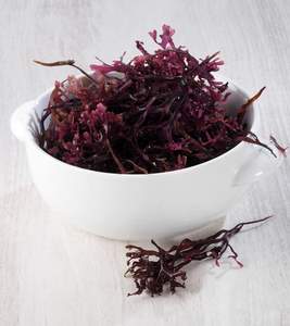 CALIENTE 2024 PROVEEDOR EXPORTACIÓN MAR MUSGO DE VIET NAM/LAS MEJORES MARCAS EXPORTACIÓN MAR MUSGO MEJOR PRECIO DE VN ALTA CALIDAD - Product Image 1