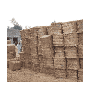 Riz cassé prêt à l'exportation : frais, propre et de qualité supérieure - Product Image 4