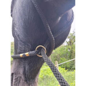 Horse <b>Lead</b> <b>Rope</b> 10-Foot Long, 5/8-Inch Thick Soft Durable Nylon Pink Brass-Plated D-Ring Heavy Duty Heat Sealed End - Product Image 5