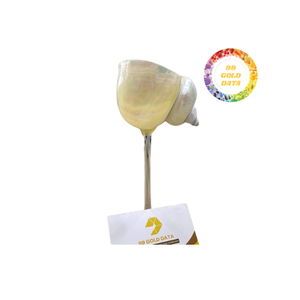 Luxury Eco-Friendly Seashell-Accented <b>Cocktail</b> <b>Glasses</b>-101-200mL Capacity Stunning Table Glassware for Special Events - Product Image 1