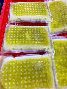 Vara de caña de azúcar congelada para bebidas, caña de azúcar IQF para jugo, jugo de caña de azúcar congelada, jugo de caña de azúcar CONGELADO VIETNAM-PURO - Product Image 3