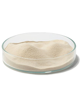 Poudre d'Agar-agar de Haute Qualité – Fournisseur Fiable et Commandes en Gros