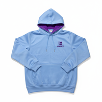 Sweat à capuche d'hiver pour homme en molleton de coton écologique de qualité supérieure, personnalisable, disponible en ODM/OEM, marque privée, streetwear, vente en gros