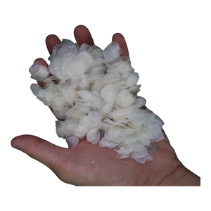 Ried Fish ALE cale - Product Image 1