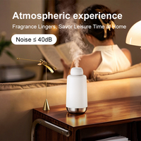 Diffuseur d'huiles essentielles compact sans eau DANQ, rechargeable, 20 ml, silencieux 40 dB, 100 m³, pour chambre d'hôtel, voiture, logo personnalisé OEM