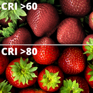 9 watt 60cm tiết kiệm năng lượng LED ống T8 6000K G13 gói đính kèm kính 6 - Product Image 6