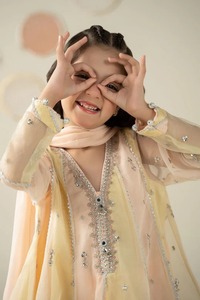 Elegante adultos largo Sharara hecho a mano tradicional elegante cómodo Georgette seda fiesta boda desgaste diario traje niñas - Product Image 4