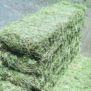 อาหารสัตว์แห้งแบบอัดสองชั้นสำหรับสุกร Uae ใช้เป็นหญ้าแห้งเส้นใยสูงมีโปรตีนสูง - Product Image 2