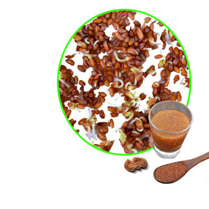 Cress | Cultivo de hierbas de alto estándar para embalaje de exportación - Product Image 5