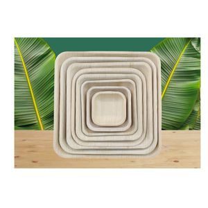 Platos de Papel Desechables Compostables Sumkoka ISO para Restaurantes, de 6, 7, 9 y 10 Pulgadas, Hechos con Fibra de Palma de Areca, para Todas las Ocasiones, en Bolsa - Product Image 1