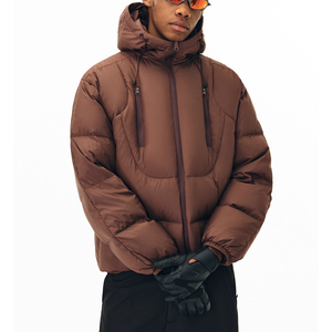 Chaqueta Acolchada con Cremallera y Capucha para Hombre, de Algodón, Abrigo Holgado y Cálido de Primavera, Personalizable para Parejas, Ropa de Abrigo al por Mayor - Product Image 1