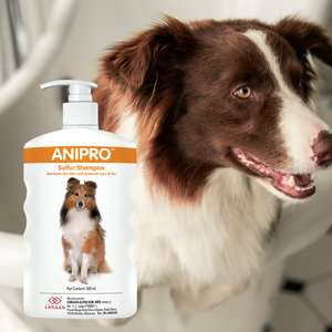 Champú de Azufre Anipro Aprobado por Peluqueros Profesionales para Perros, la Mejor Protección y Tratamiento para Piel Sensible y con Picazón - Product Image 1