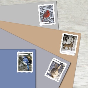 Pegatinas de pájaros en la nieve 2016, 5 hojas por juego, diseño de aves para cartas, tarjetas de felicitación, invitaciones de boda, tarjetas de cumpleaños - Product Image 4
