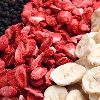 Beste Kwaliteit Natuurlijke Gemengde Gedroogde Fruitsnacks Goedkoopste Prijs Knapperige Droge Vruchten Voor Groothandel Export